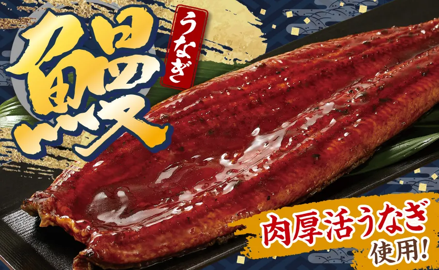 数量限定！肉厚のうなぎがやってきました！