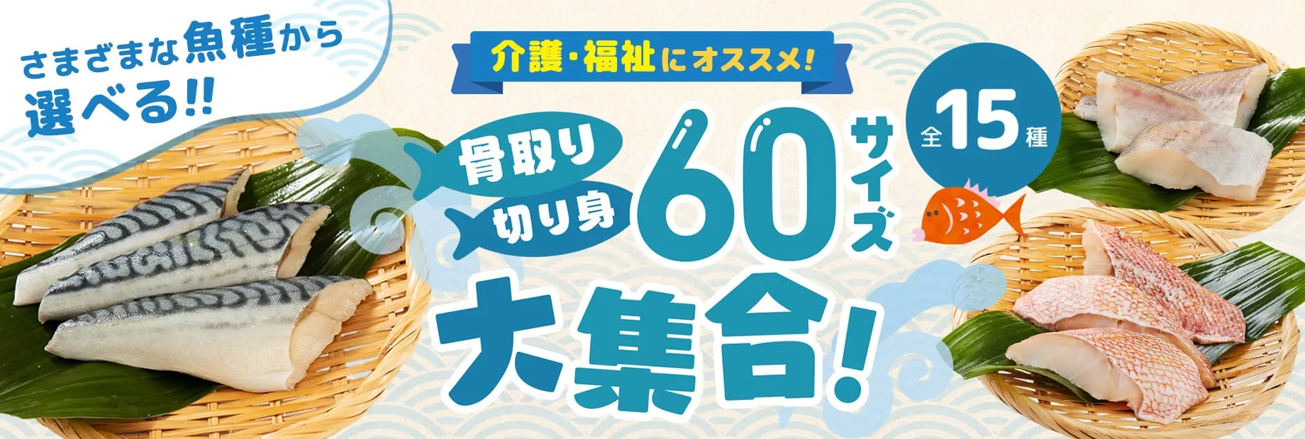 骨取り切り身の60サイズ大集合!