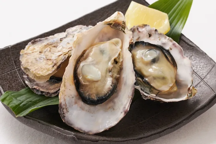 瀬戸内海産殻付き牡蠣