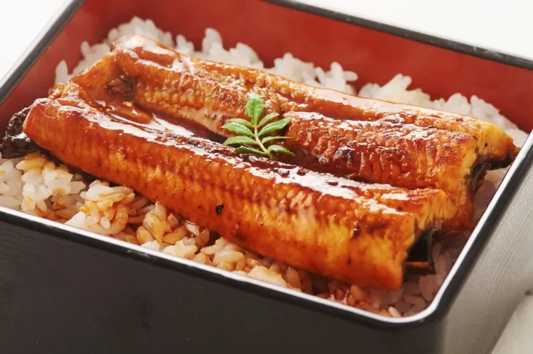 うなぎ蒲焼(ハーフ)