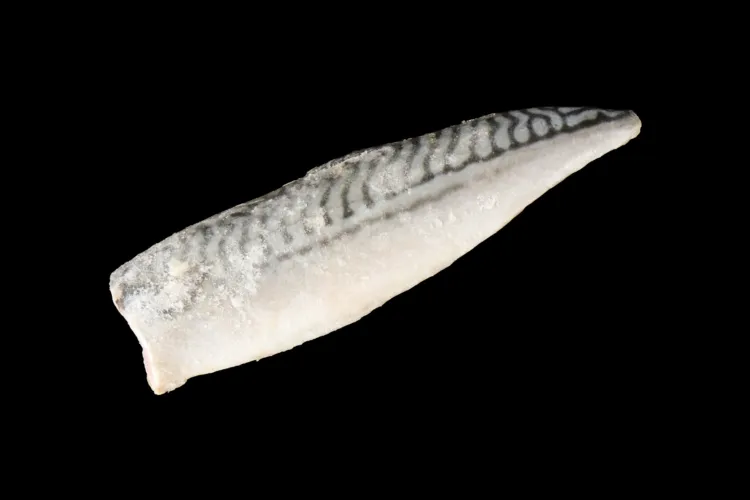 無塩さば切り身フィーレ 商品画像