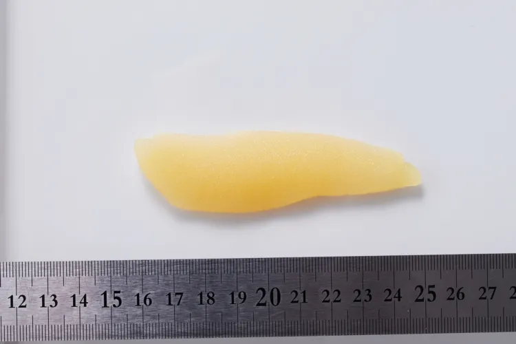 本チャン味付け数の子 盛付画像1