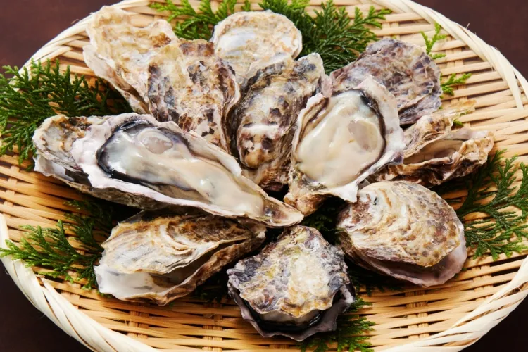 瀬戸内海産殻付き牡蠣(生食用)S 調理画像